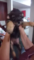 Valentina