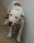 Lola