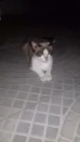 Julieta