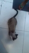 Julieta