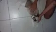 Julieta