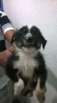 indefinido