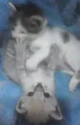 PRIMEIRO E SEGUNDO