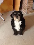 Tiberio