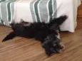 Tiberio