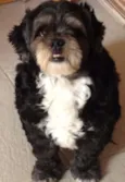 Tiberio