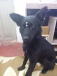 nina