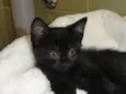 Tina