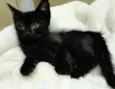 Tina