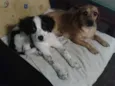 Chiquinho
