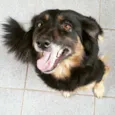 Kira