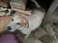 PAJE