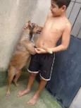Balú
