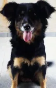 Kira