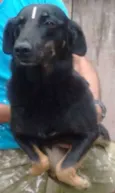 BRENDA, PANDORA E LARA