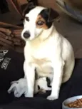 Minnie