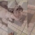 Ainda não tem