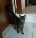 Selina