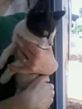 não sei