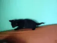 Sorte e Spirit (fêm