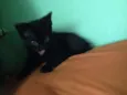 Sorte e Spirit (fêm