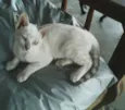 maddy