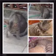 Bernardo