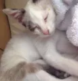 Oliver