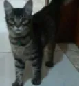 Selina
