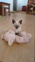 Mia
