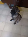 Rubi