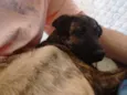 Rubi