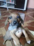 Spike