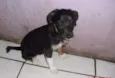 BIA