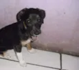 BIA