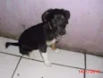 BIA