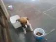 ?