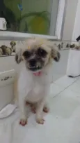 Não tem