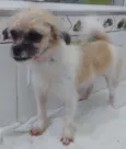Não tem