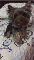 TEDDY