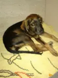 Kika