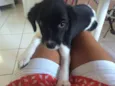 Athena