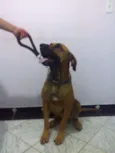 Jack