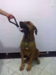 Jack