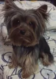 TEDDY