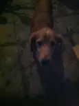 Não definido