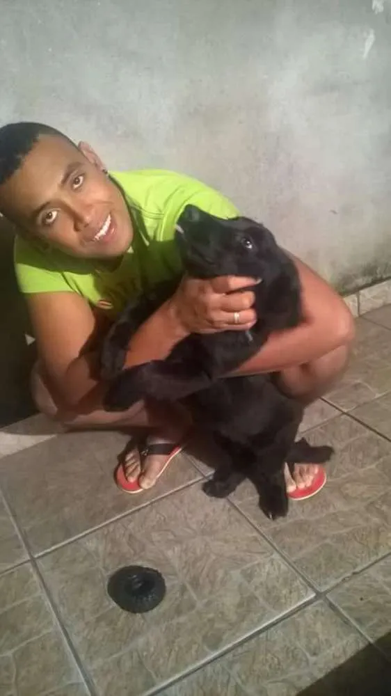 Cachorro ra a SRD idade  nome fEIJÃO