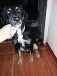 PRINCESA