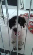 Kiara