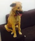 Heitor